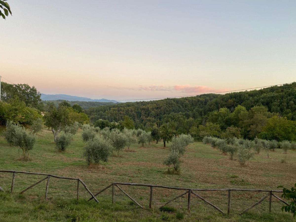 Agriturismo Borgo Serafino 曼贡 外观 照片